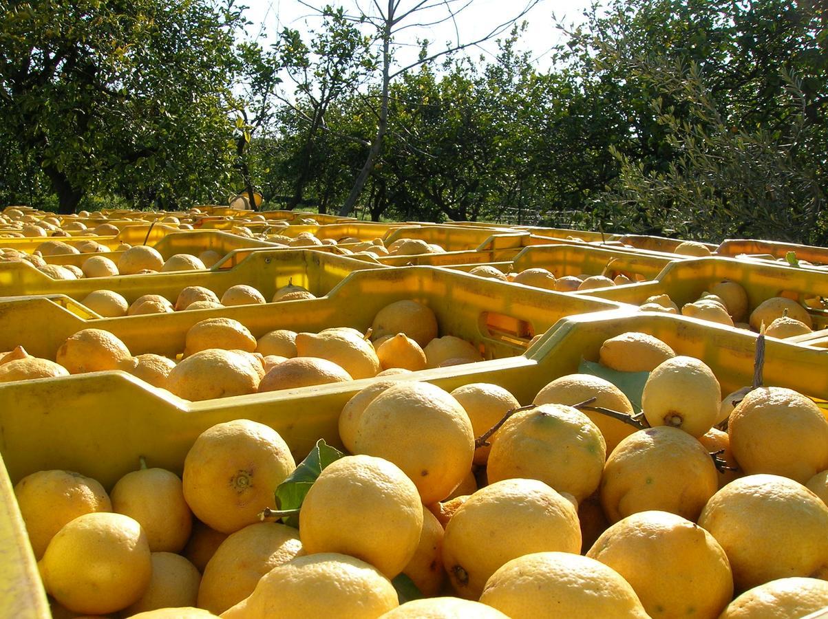 Agriturismo San Leonardello מראה חיצוני תמונה